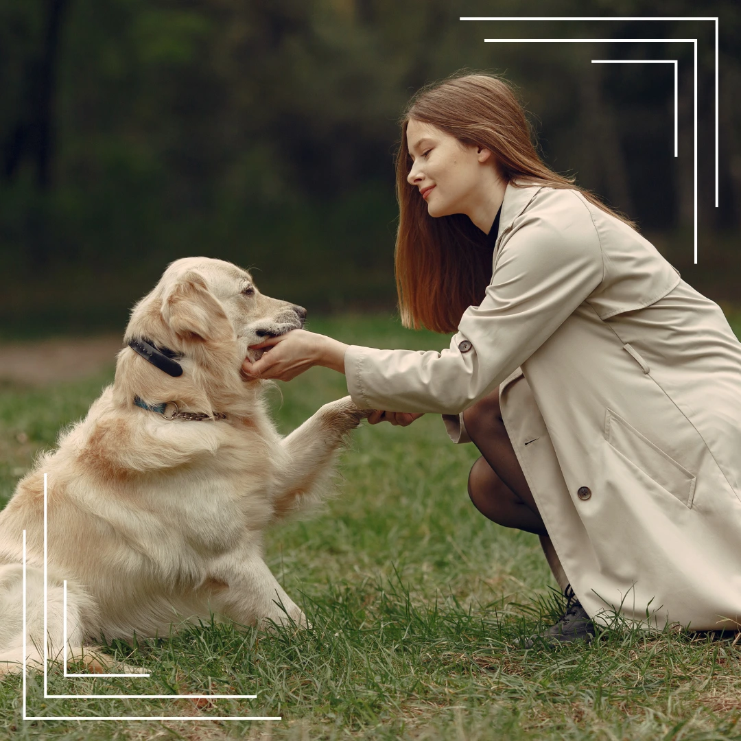 Jak budować więź z pupilem? Małe nawyki, które robią wielką różnicę